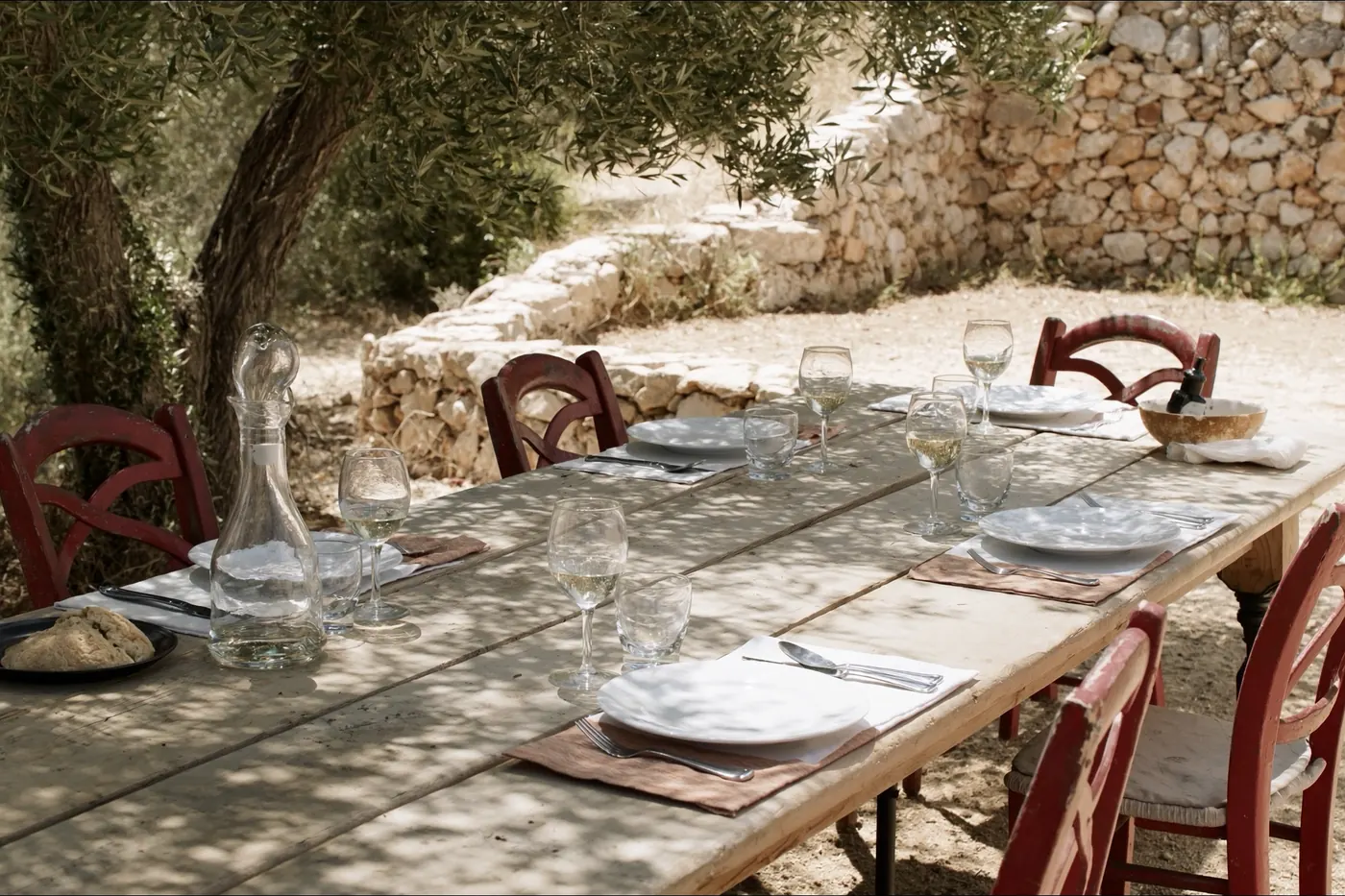 A table laid for lunch beneath the olive trees