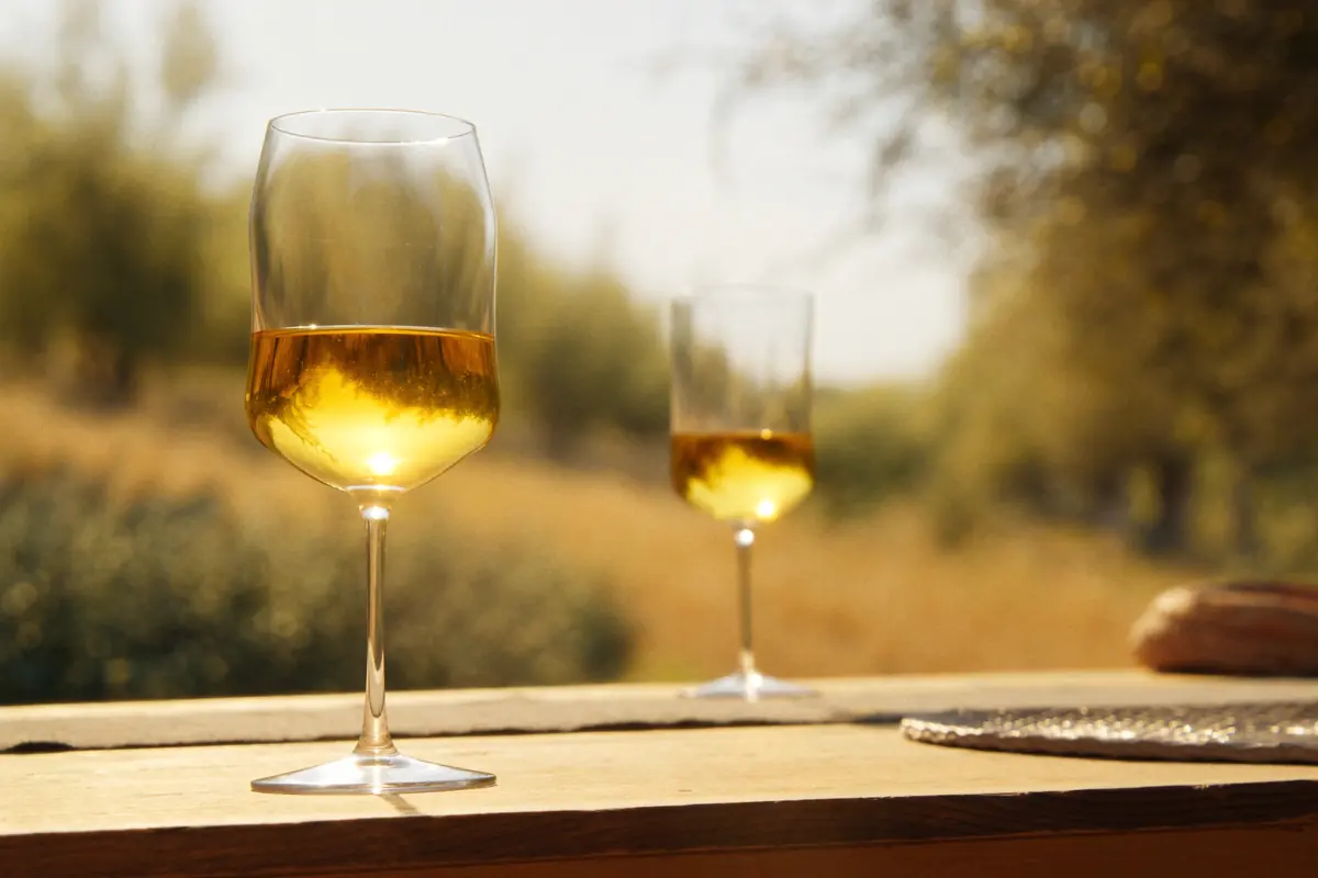 Glasses of Istrian white wine in the grove